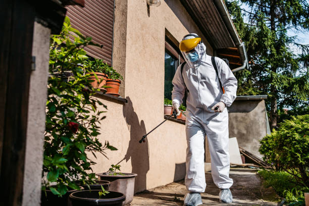 Pest Prevention Services in Ames Lake, WA